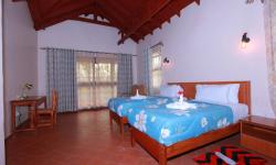 Standard or Twin Room